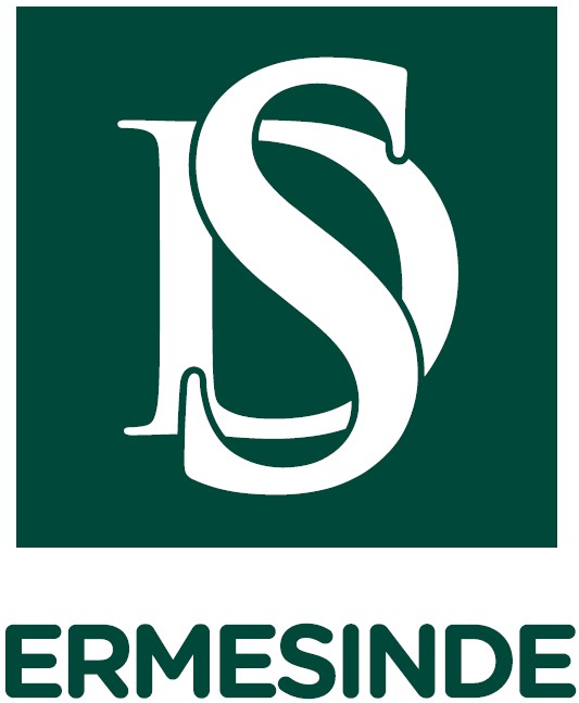 DS ERMESINDE