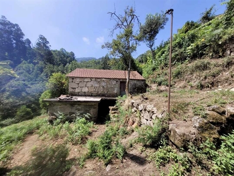 Moradia para Restaurar T2